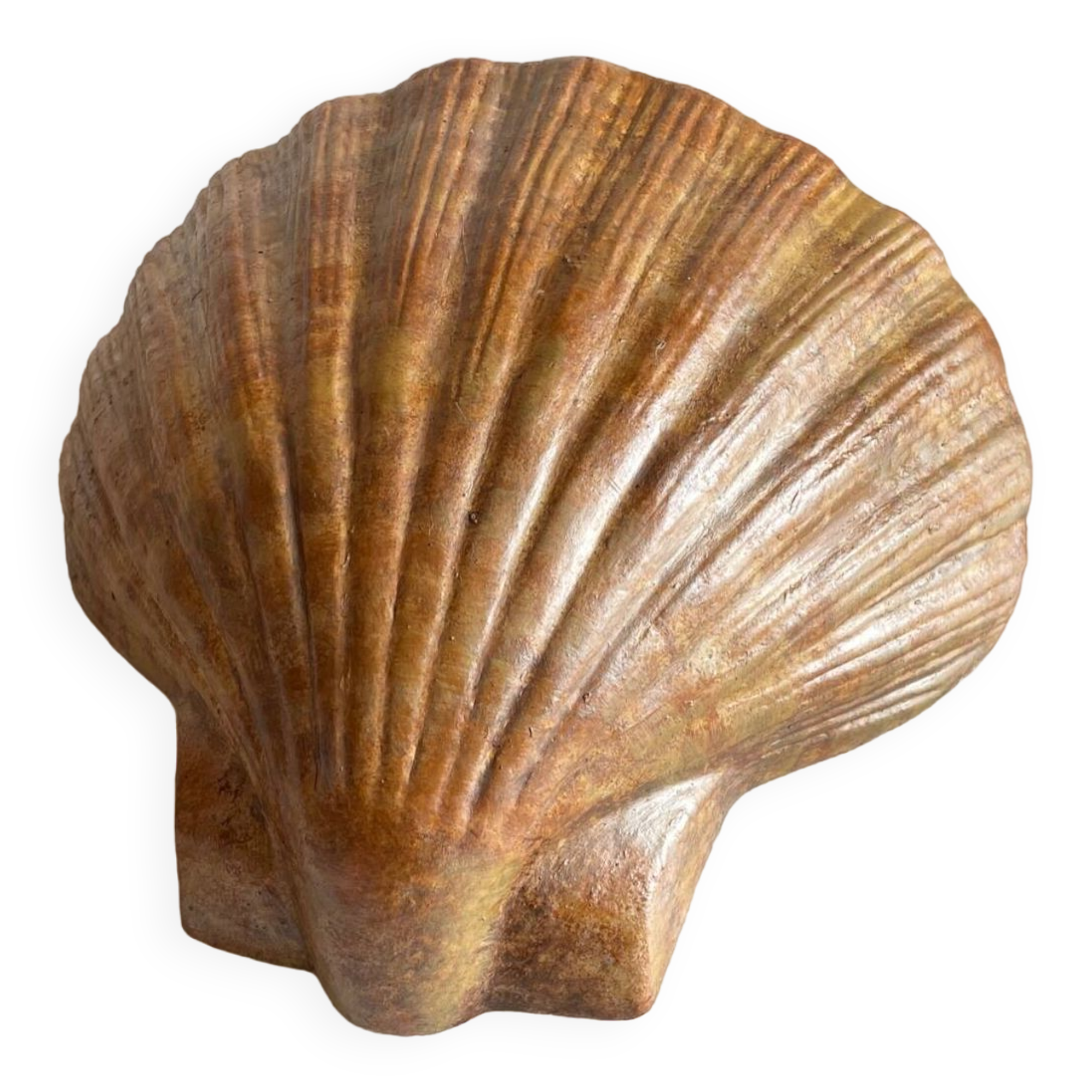 Shell wall enameled by aljezur