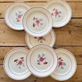 7 antique dinner plates