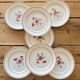 7 antique dinner plates