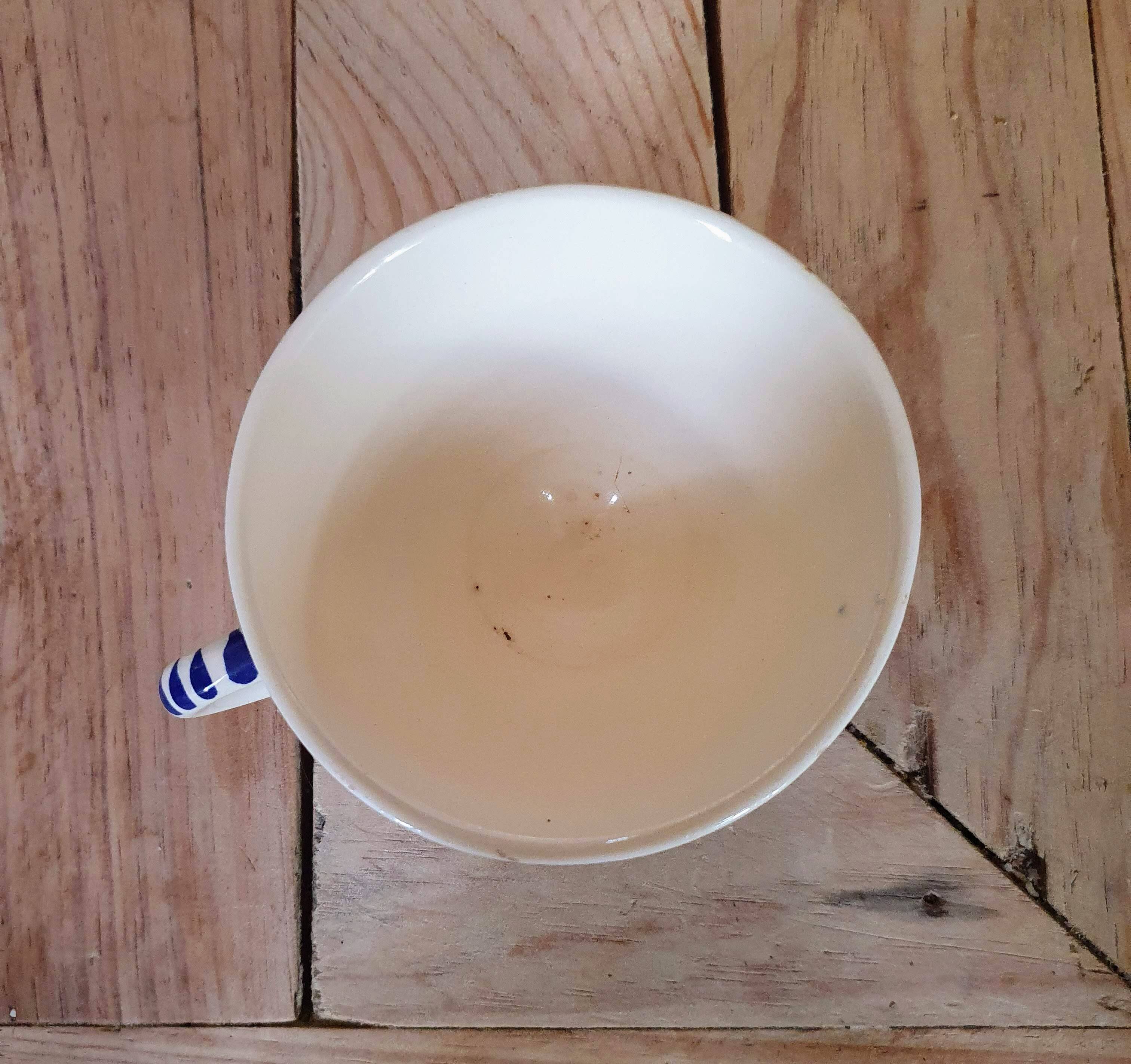 Quimper mug