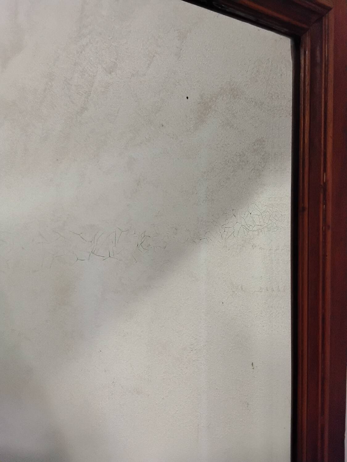 Large mirror/wardrobe door
