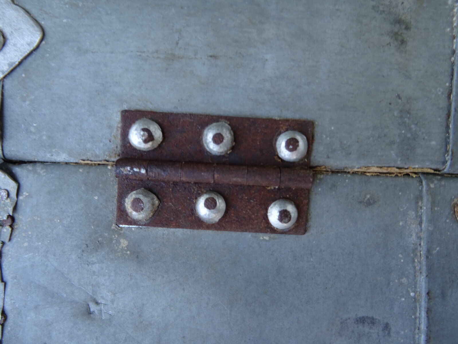 Zinc-covered trunk