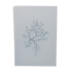 Vintage botanical print from 1978 - Baby's Breath - wild plant