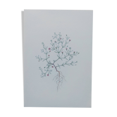 Vintage botanical print from 1978 - Baby's Breath - wild plant