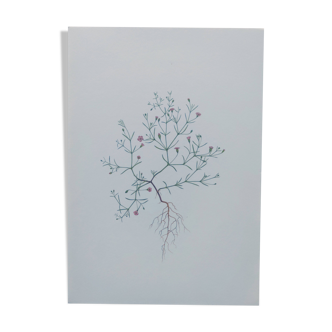 Planche botanique vintage de 1978 - Gypsophile des murs - plante sauvage
