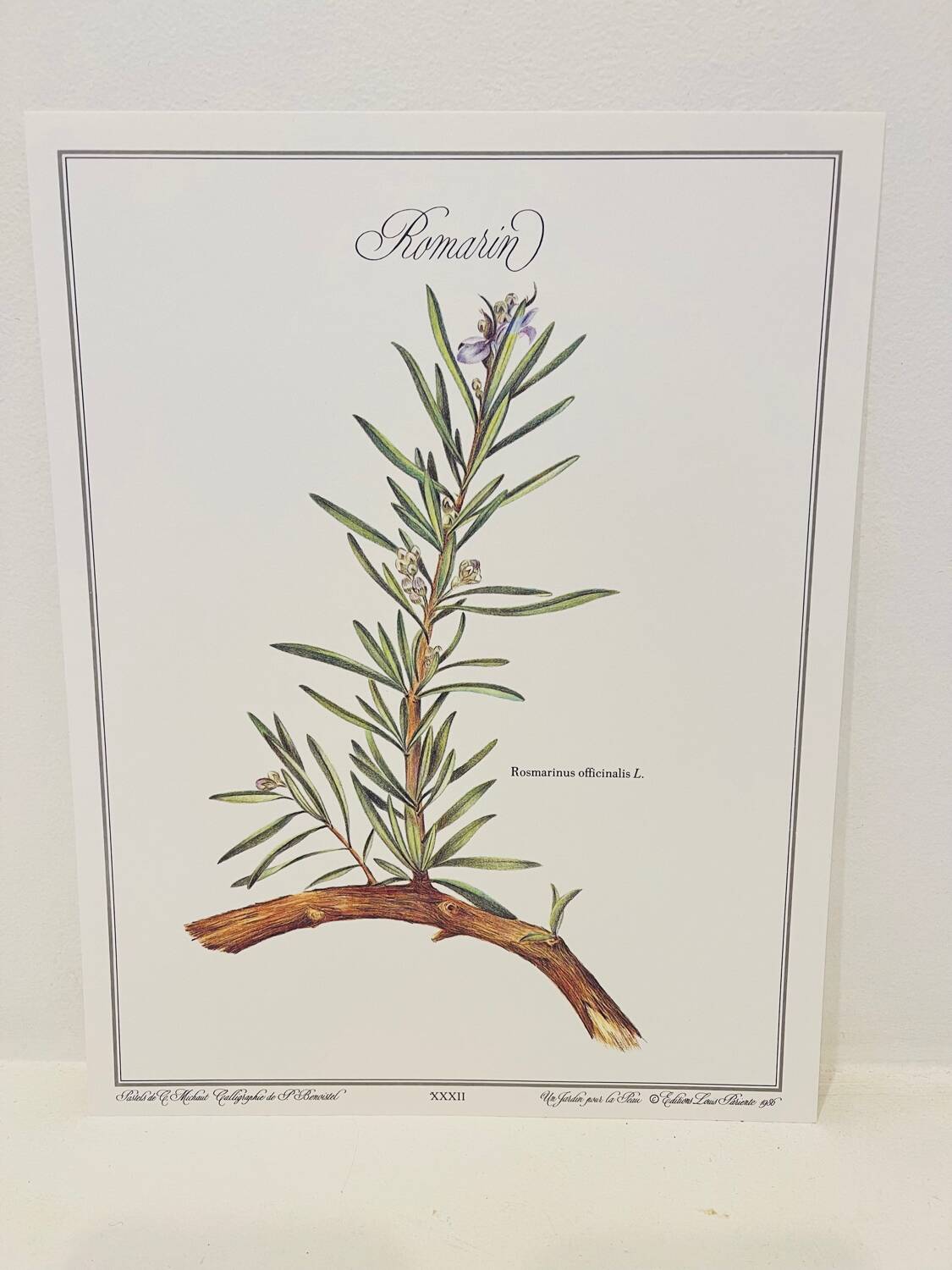 Botanical plate – Louis Pariente, 1986