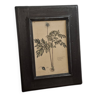 Framed botanical board frame
