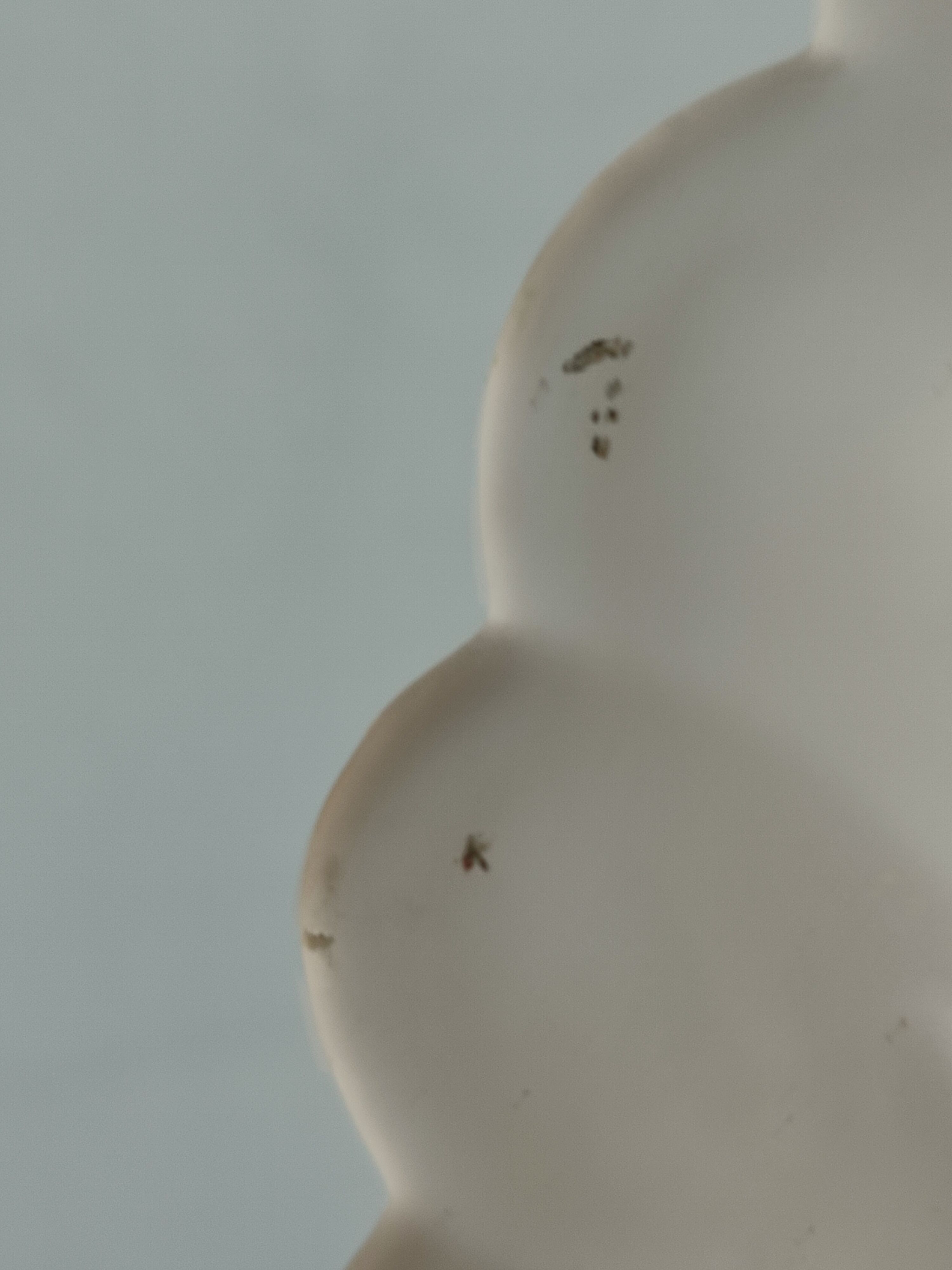 Vintage shell table lamp