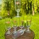 Vintage set of 6 floral champagne flutes