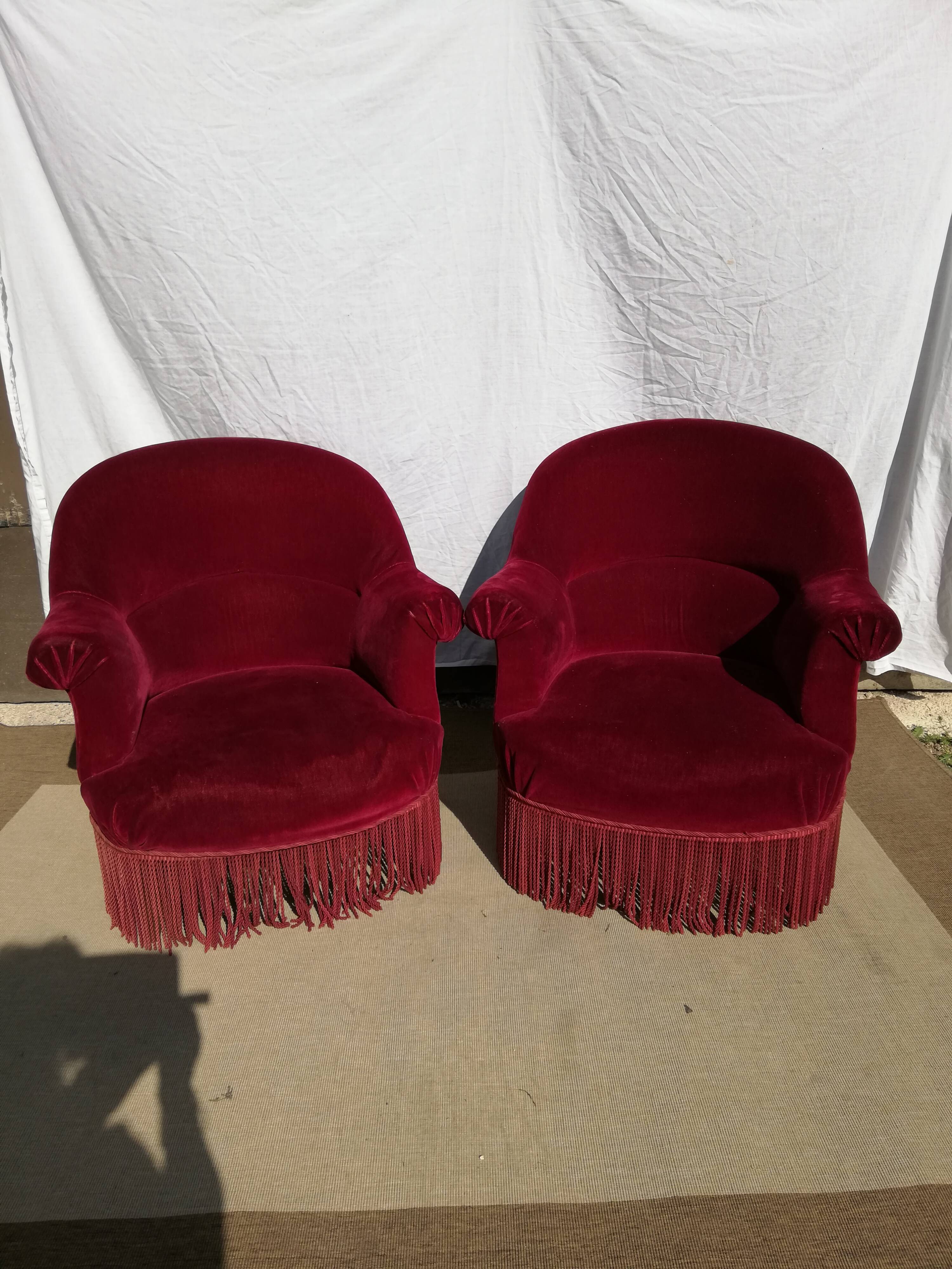 Two pretty cinema red Toad