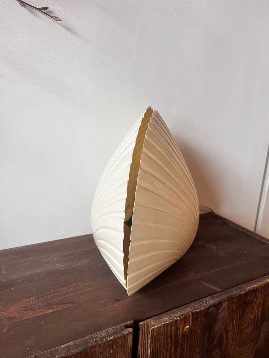 Shell lamp by Michel Mahé + André Cazenave po