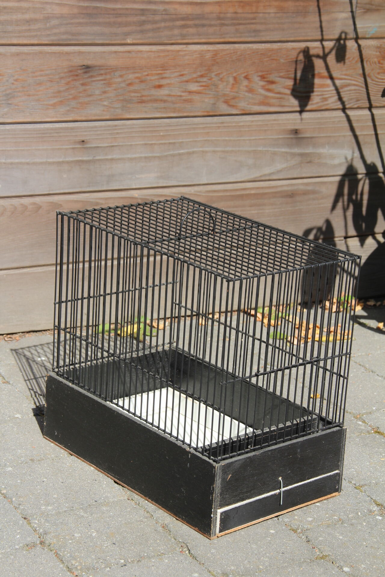 Small birdcage