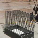 Small birdcage