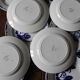 10 assiettes plates roses bleus Bastia Sarreguemines Art Déco
