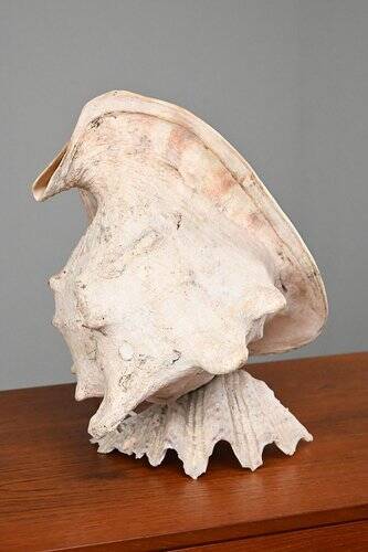 Vintage Shell Lamp