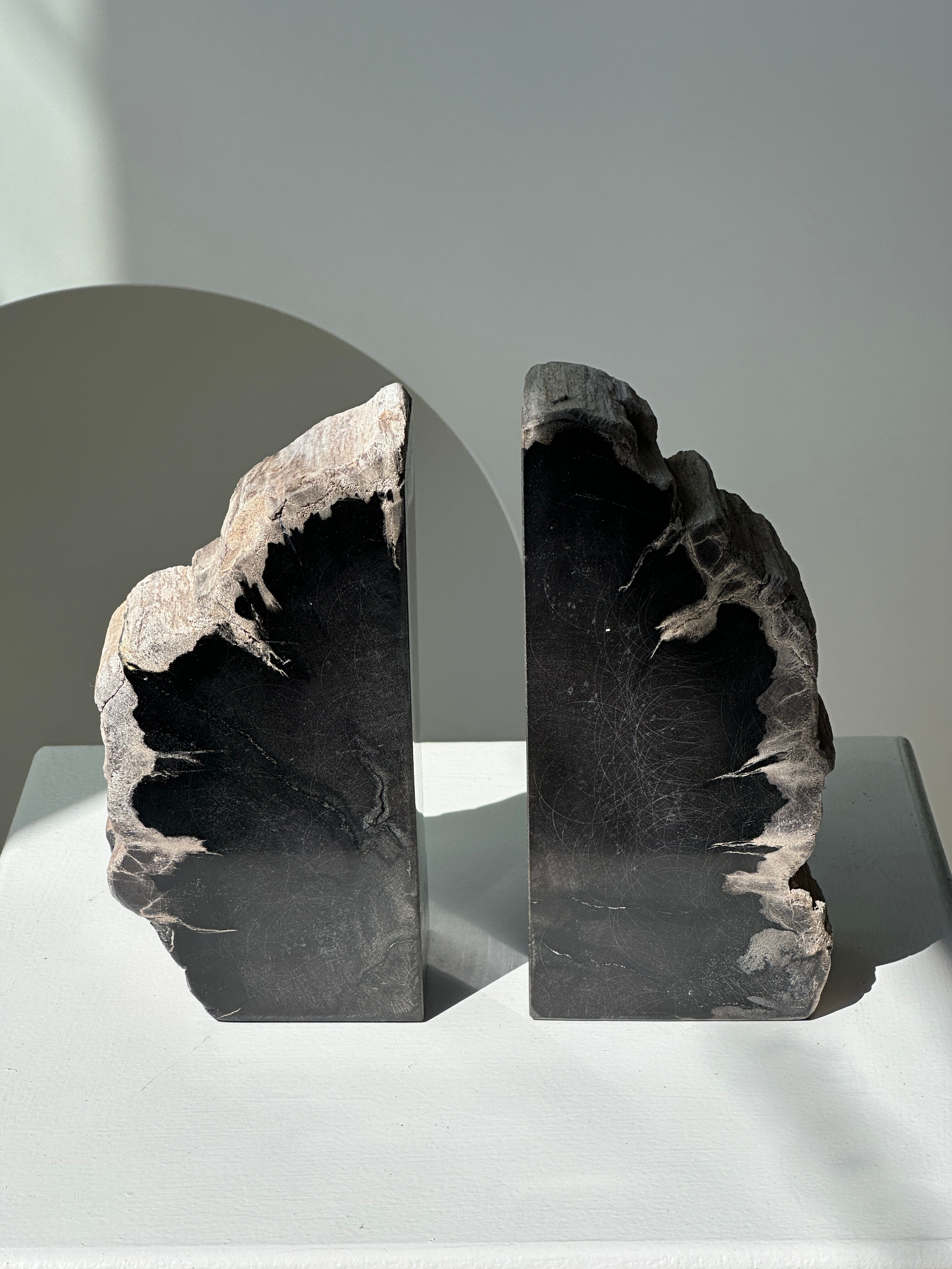 Black petrified wood bookend H17 L17 P6