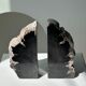 Black petrified wood bookend H17 L17 P6