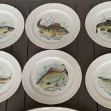 6 fish plates in genuine Limoges porcelain