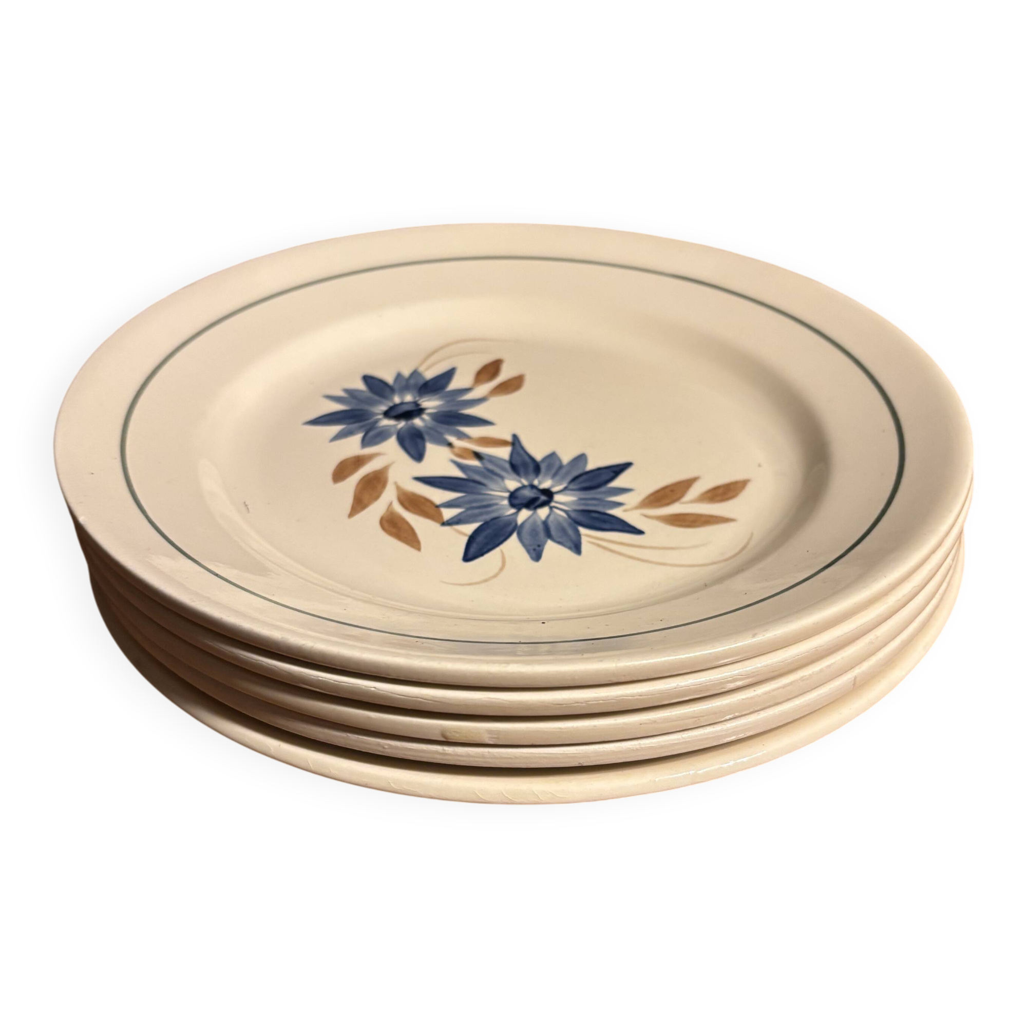 HBCM Terre de fer 1930 dinner plates