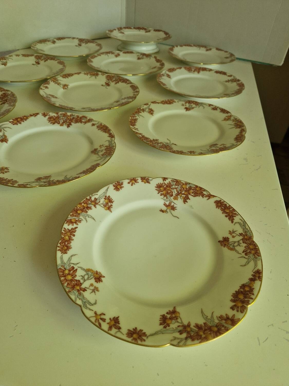 Lot of 11 Porcelain Dinner Plates Plus Presentation Dish Manufactured