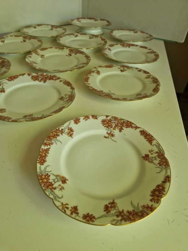 Lot 11 Assiettes Plates En Porcelaine Plus En Plat De Présentation manufact