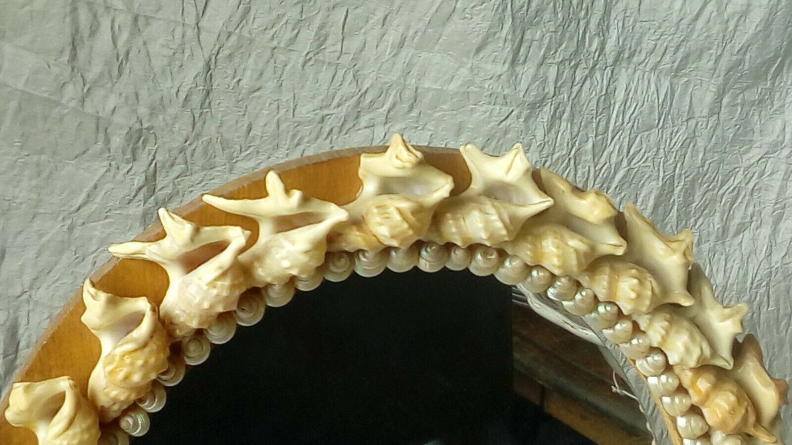 Mirror to be placed in wood and shell
