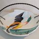 Duck catchall