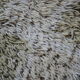 Vintage year 70s 250x350cm desso carpet