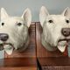 Dog head bookends ~ composite resin ~ vintage from the 70s/80s ~ england