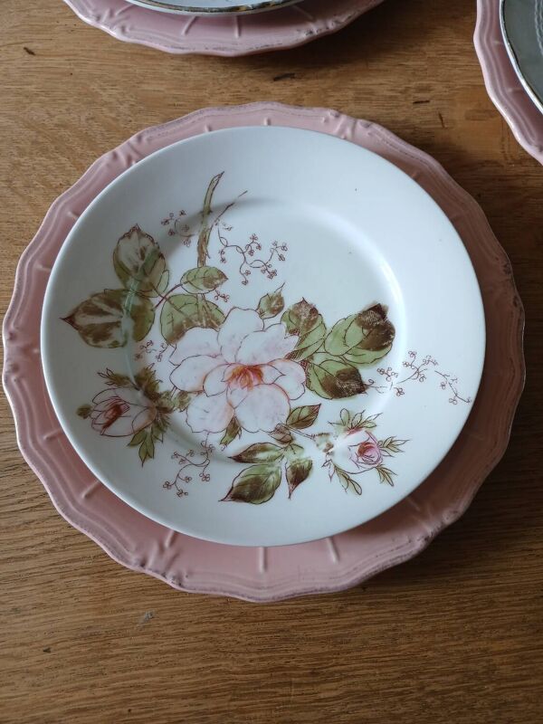9 assiettes plates anciennes