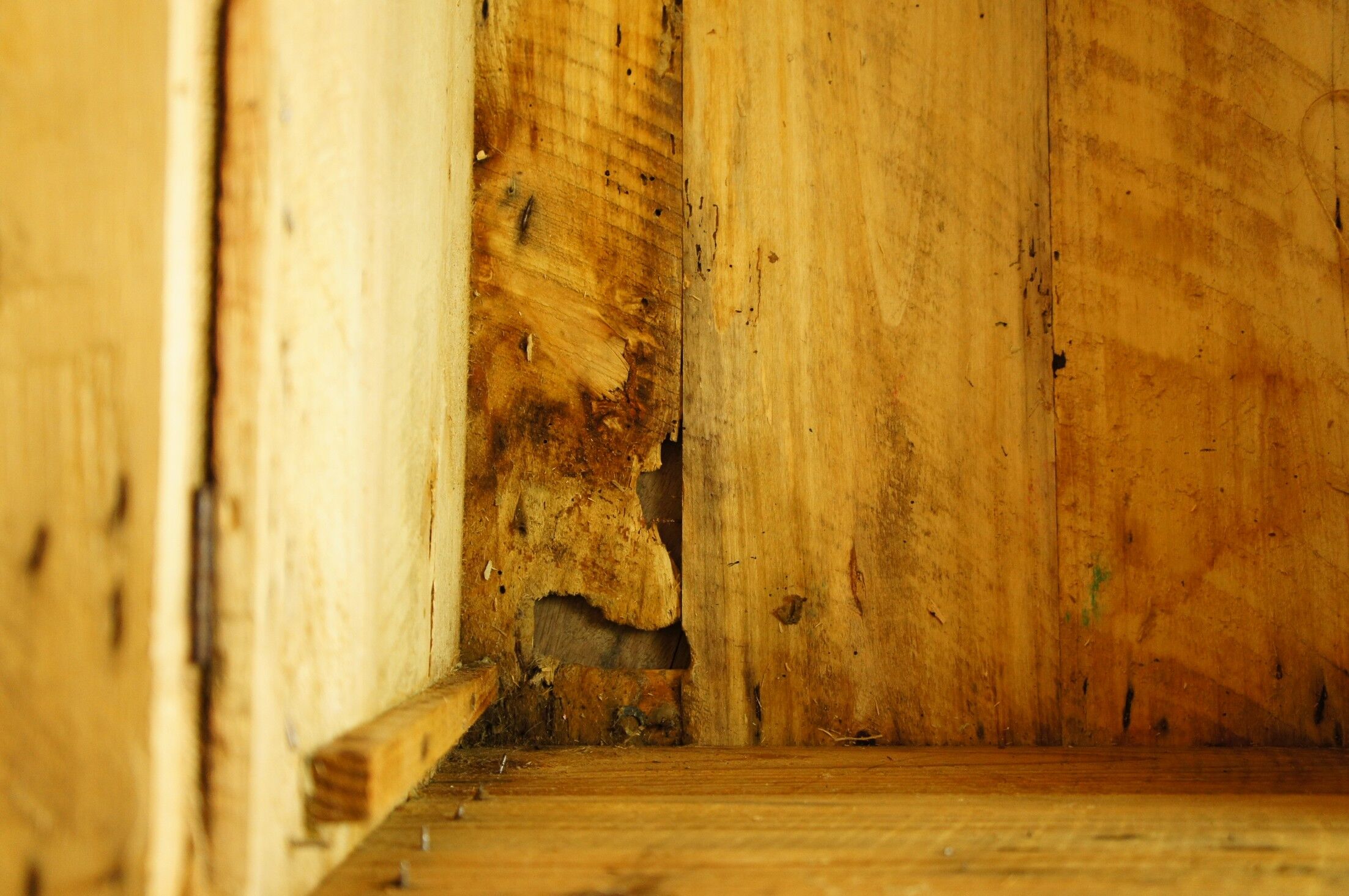 Old-curved wooden trunk - burlap