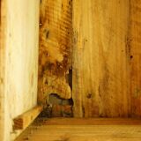 Old-curved wooden trunk - burlap