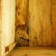 Old-curved wooden trunk - burlap