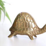 Brass turtle