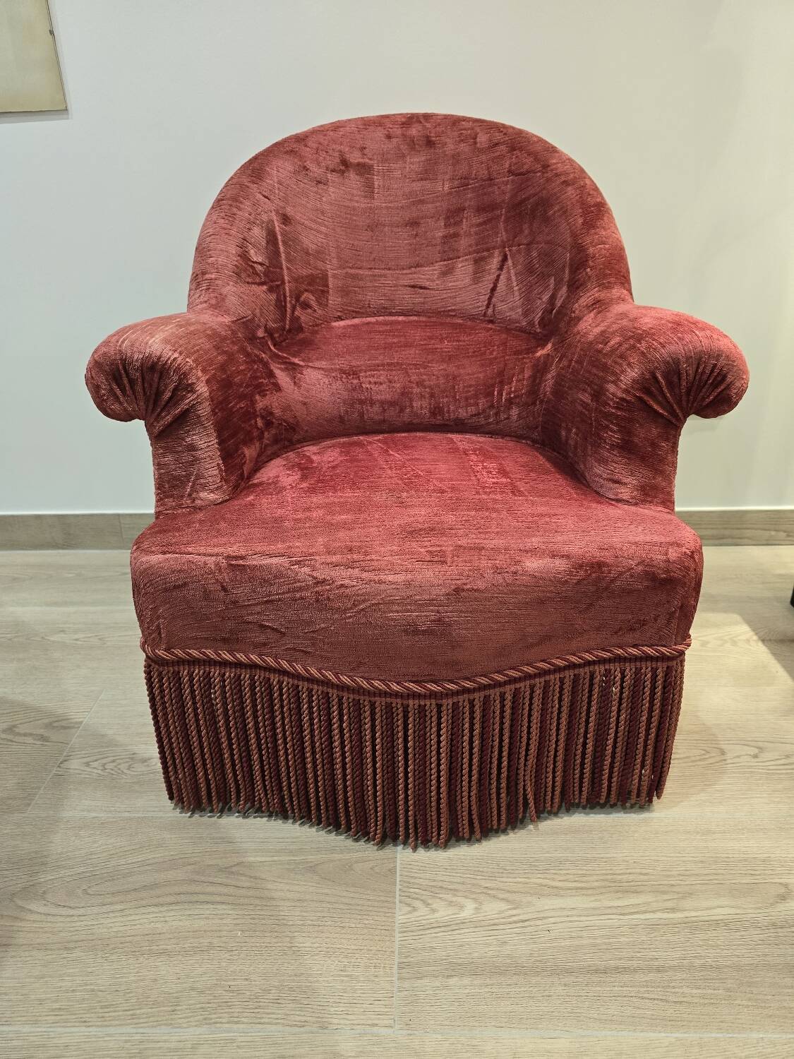 Burgundy velvet toad