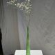 Vintage polished green glass soliflore vase H32