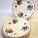 6 flat plates from Salins les Bains, "Poppies" pattern, in very good condition
