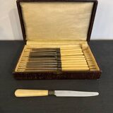 Service box of 11 knives with ivory handles and cast steel