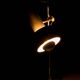 Disderot Delmas vintage lamp dlg Alain Richard