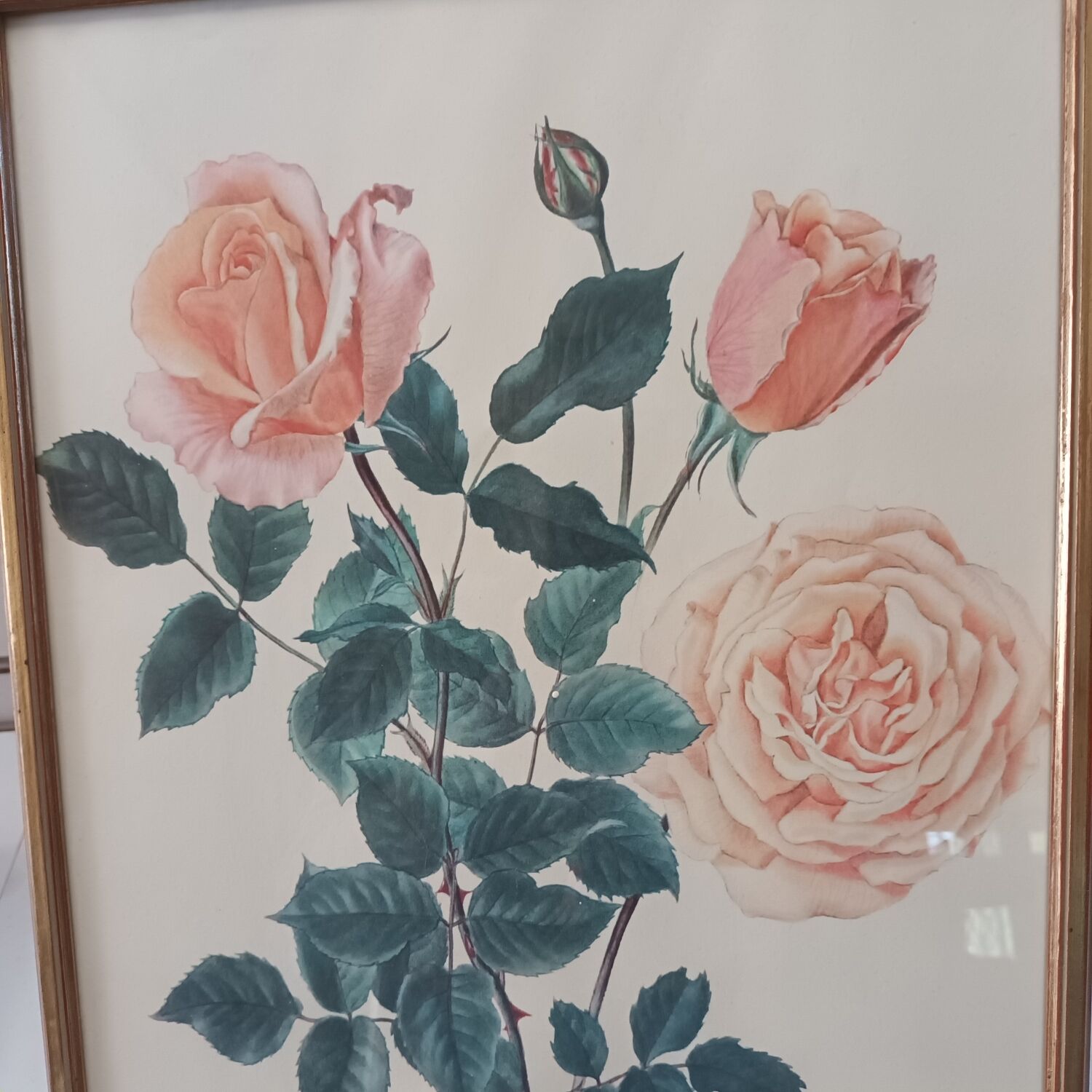 Gravure rose