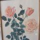 Gravure rose