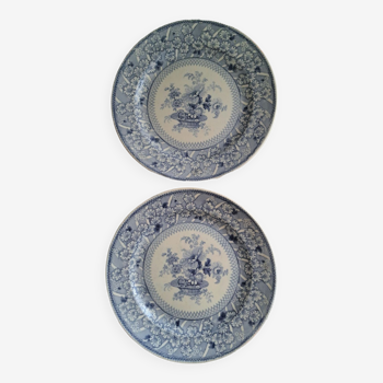 Duo of English plates