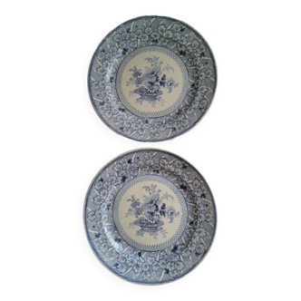 Duo of English plates