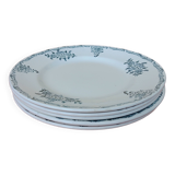 5 Terre de feu Saint Amand series 4010 plates in perfect condition