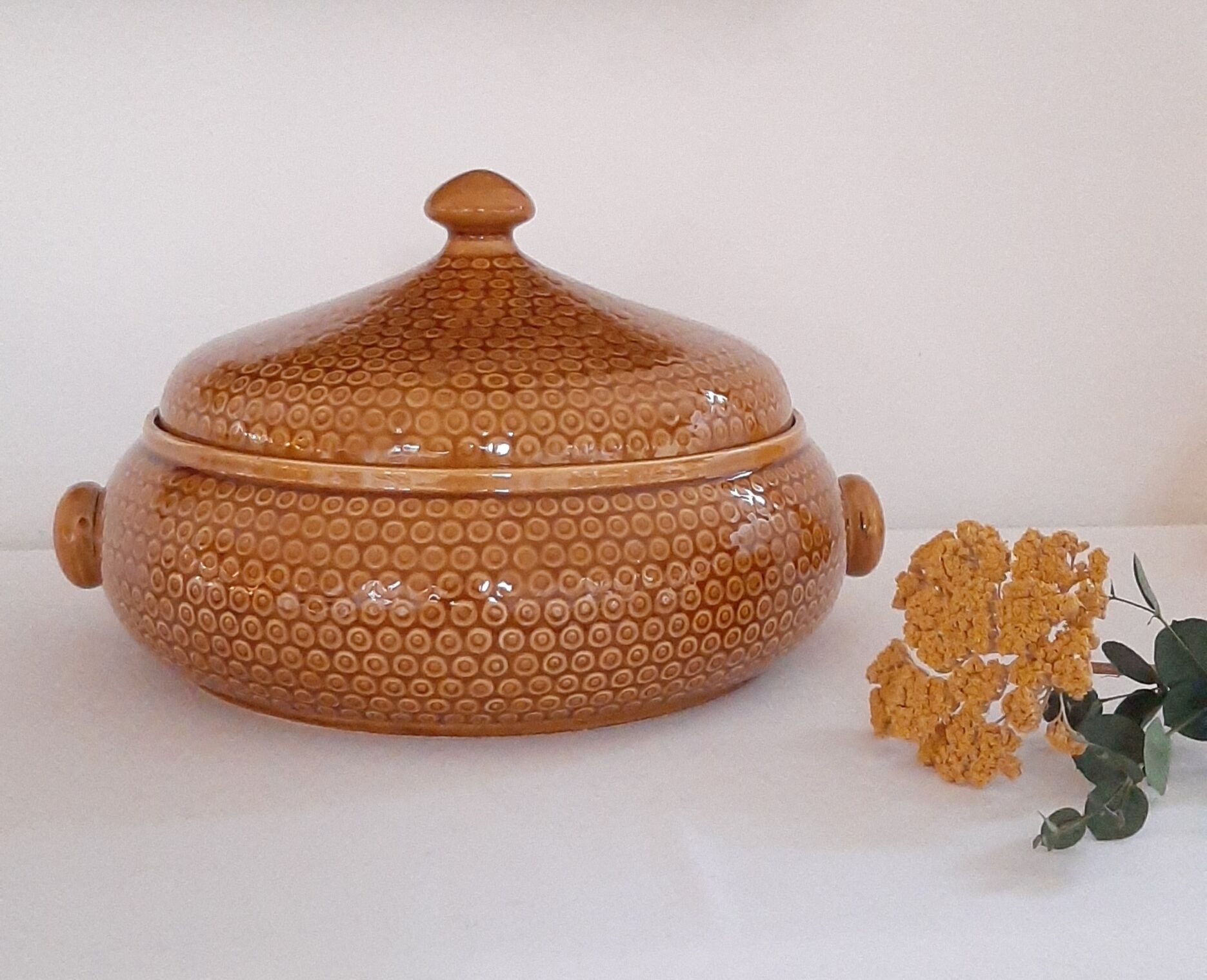 Soupière légumier vintage faïencerie Gien ambre