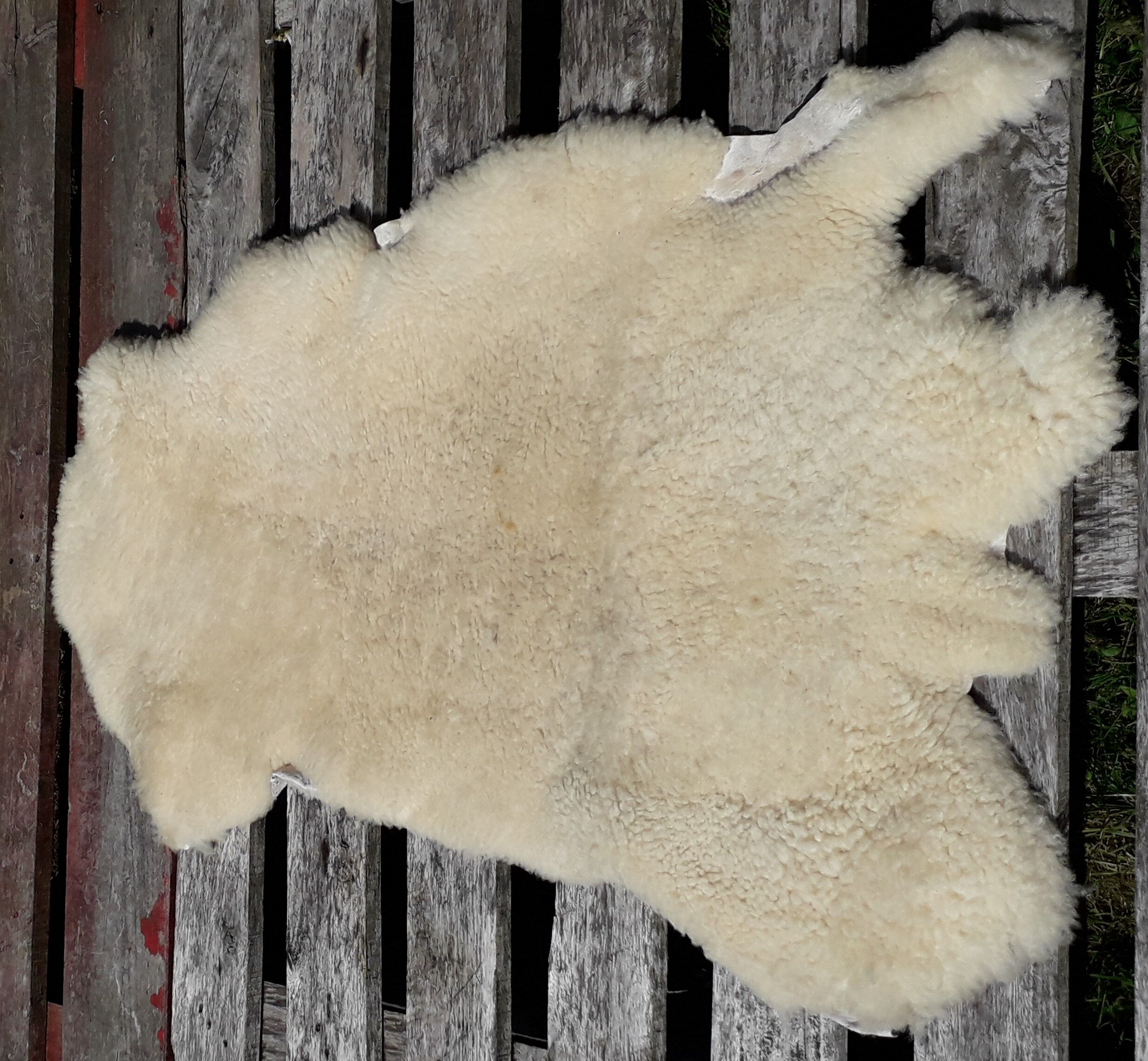 Sheepskin 100 x 56 cm
