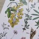 Plant poster, based on an 1881 engraving 'lupin'