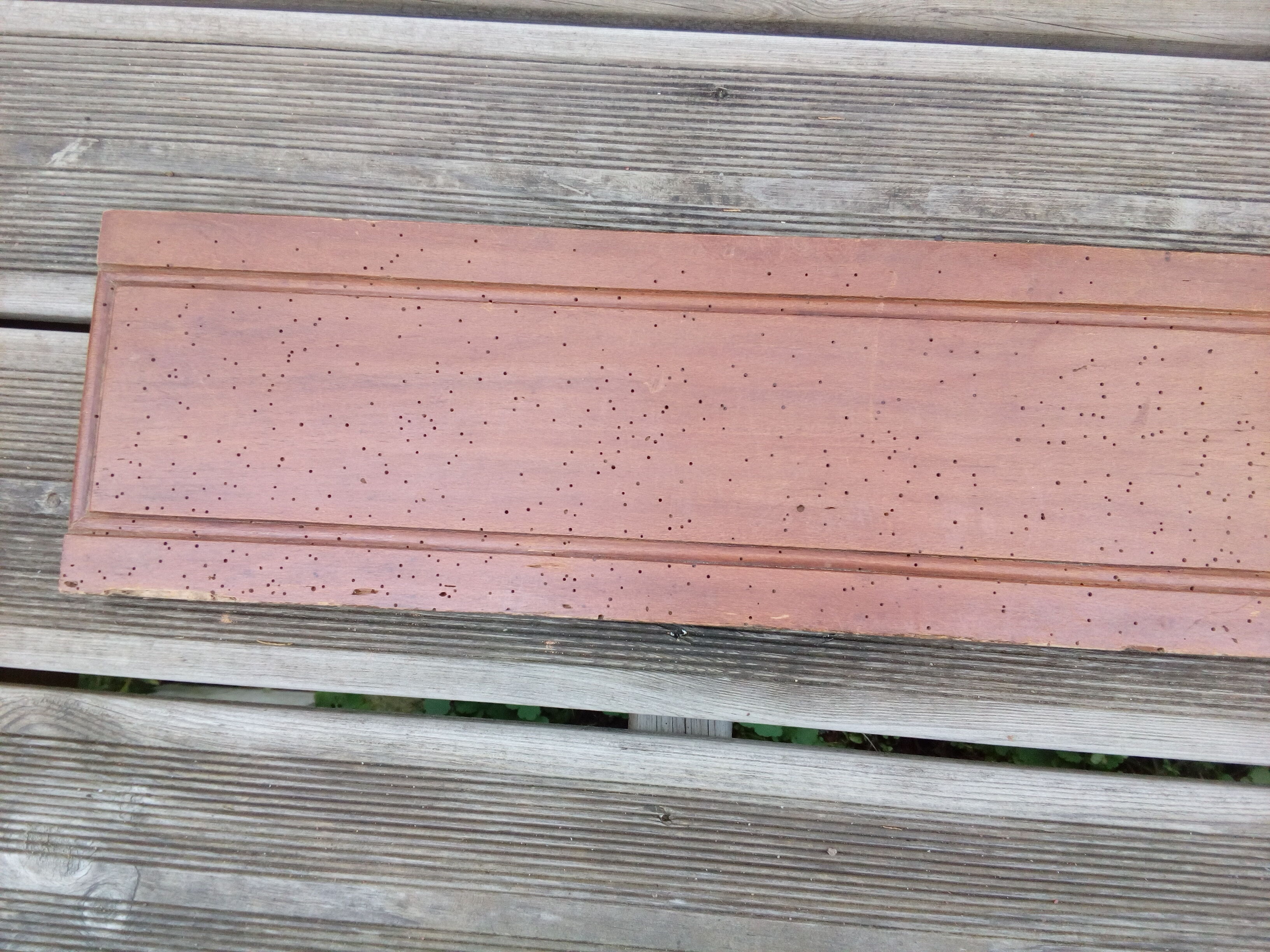 Carved front in solid wood