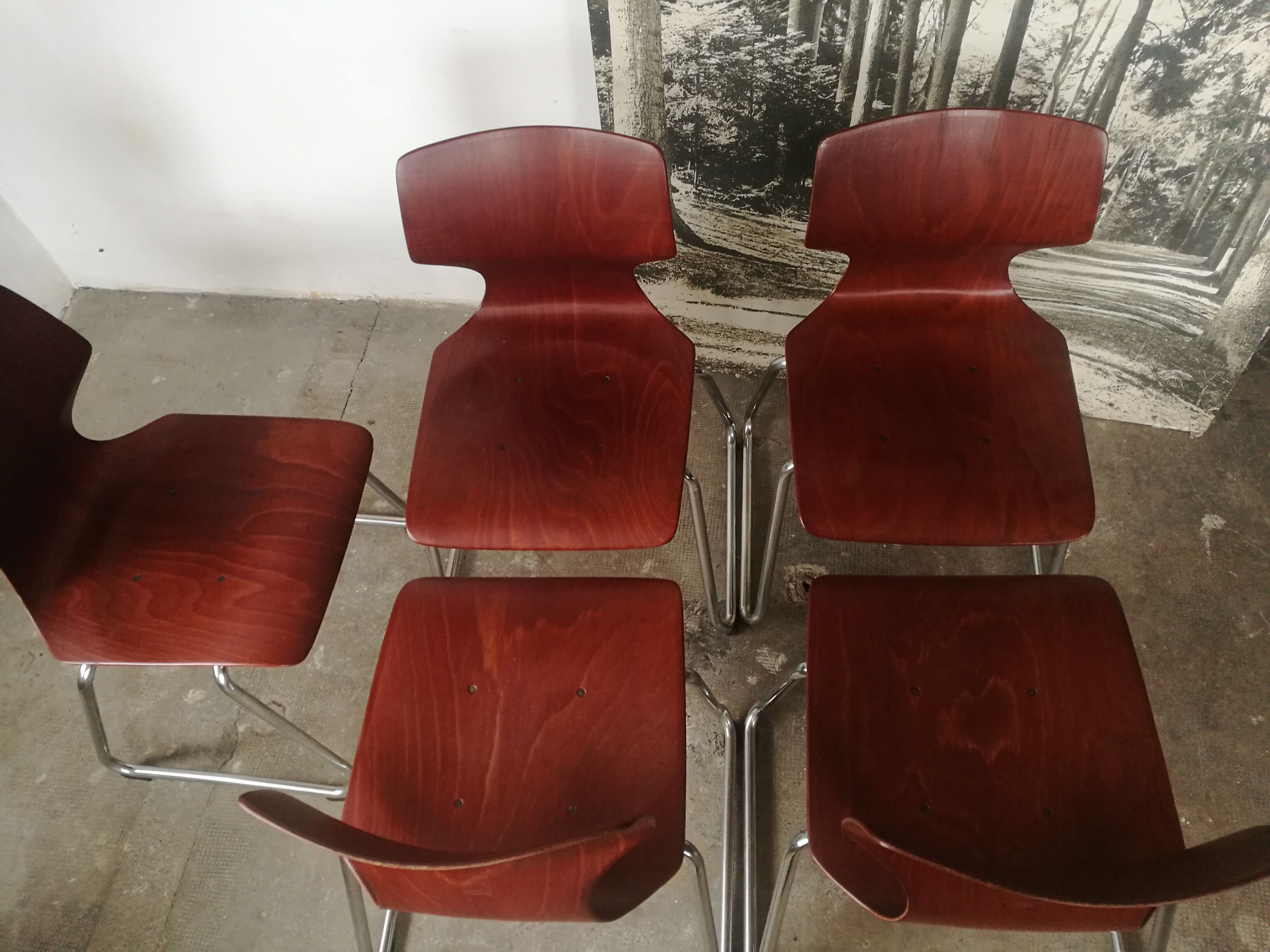 5 Flototto stackable chairs