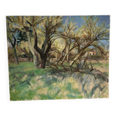 Forest landscape signed Taquoy